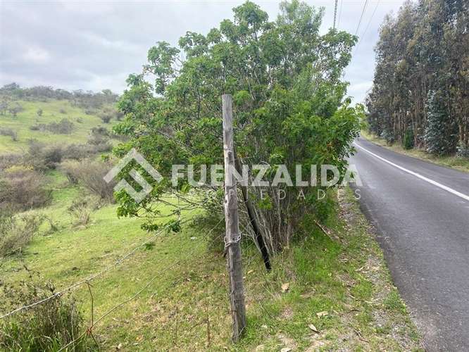 Terreno agrícola de 94.9 hectareas en venta cerca Cartagena