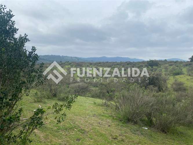 Terreno agrícola de 94.9 hectareas en venta cerca Cartagena