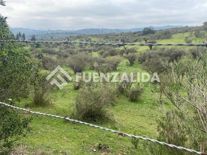 Terreno agrícola de 94.9 hectareas en venta cerca Cartagena