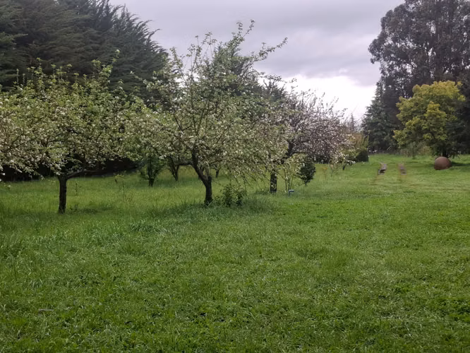 27.397 M2, CON CASA, GALPON, BODEGAS, QUINCHO, PISCINA A SOLO 12 KM. DE LOS ANGELES