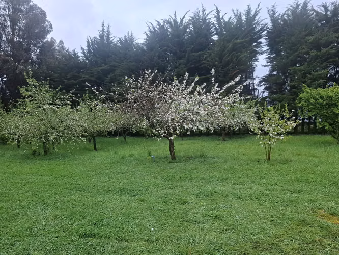 27.397 M2, CON CASA, GALPON, BODEGAS, QUINCHO, PISCINA A SOLO 12 KM. DE LOS ANGELES