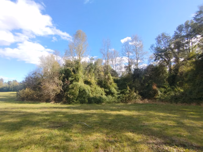 HERMOSAS PARCELAS EN SALIDA NORTE DE VALDIVIA, DE  ALTA PROYECCION