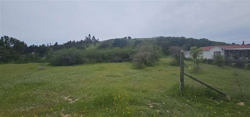 Parcela en venta en Litueche - Imagen 8