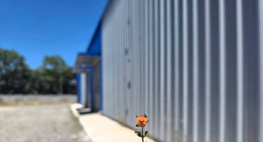Galpón, Local, Bodega, Concepción, ruta 146 - Imagen 13