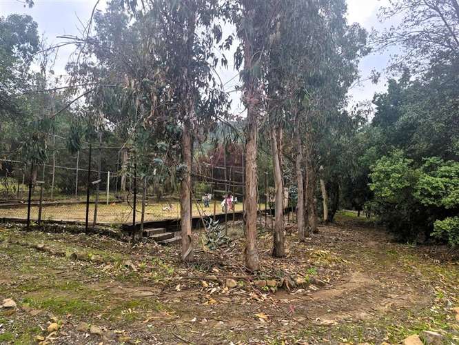 Venta Parcela San Francisco de Mostazal La Punta con 3 casas