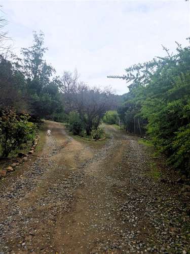 Venta Parcela San Francisco de Mostazal La Punta con 3 casas