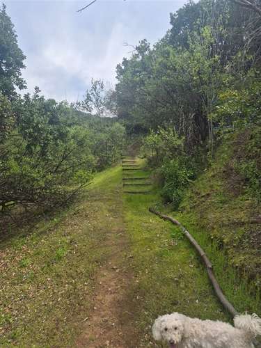 Venta Parcela San Francisco de Mostazal La Punta con 3 casas