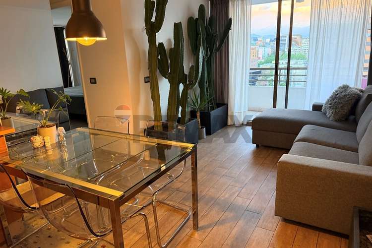 Venta depto 2d/2b + estac. y bodega providencia - Imagen 13