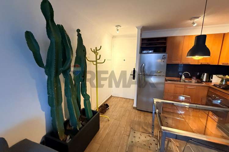 Venta depto 2d/2b + estac. y bodega providencia - Imagen 17