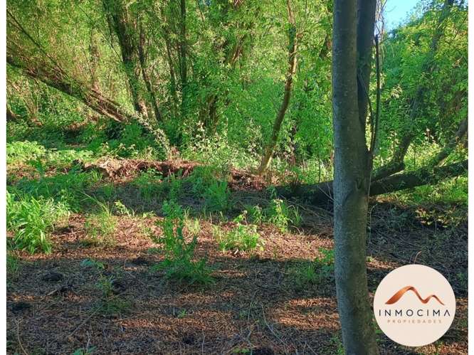 Arriendo Casa Longaví - Con Campamento Agrícola y Promesa de Compra