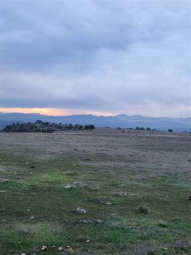 Parcela en Litueche planas crédito directo 2 horas Santiago - Imagen 9
