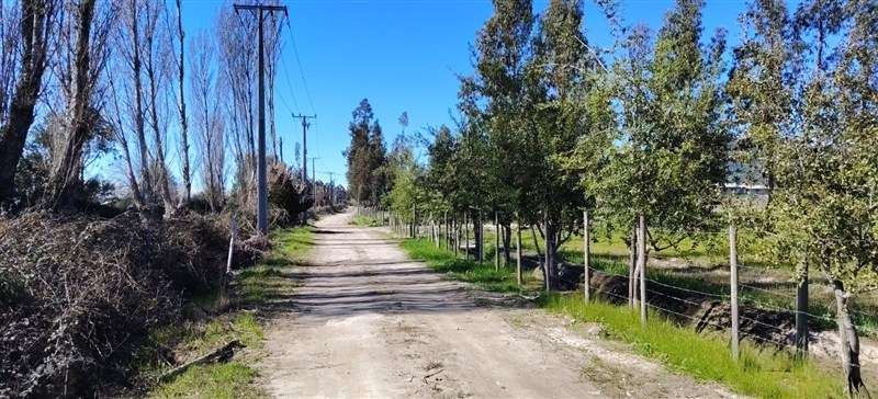 PARCELAS PLANAS CON CANAL DE RIEGO EN PERALILLO OPORTUNIDAD