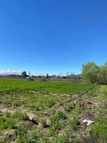 PARCELAS PLANAS CON CANAL DE RIEGO EN PERALILLO OPORTUNIDAD