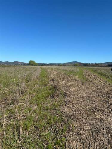PARCELAS PLANAS CON CANAL DE RIEGO EN PERALILLO OPORTUNIDAD