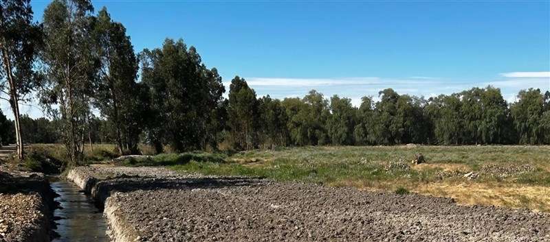 Parcela en Longaví crédito 50 meses a 15 min centro y ruta 5