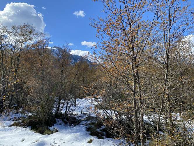 SE VENDE PARCELA 5000 M2 MALALCAHUELLO - Imagen 7
