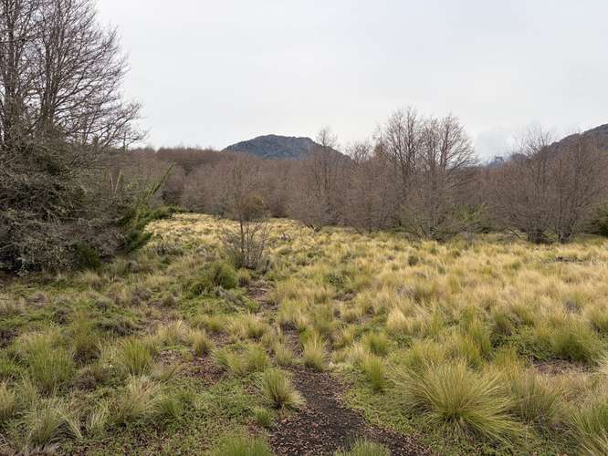 SE VENDE PARCELA 5000 M2 MALALCAHUELLO - Imagen 3