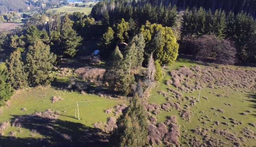CAMPO DE 4 HECTÁREAS CON EUCALIPTOS  EN LA UNIÓN - Imagen 7