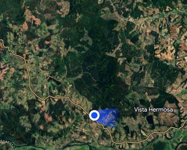 CAMPO DE 4 HECTÁREAS CON EUCALIPTOS  EN LA UNIÓN - Imagen 19