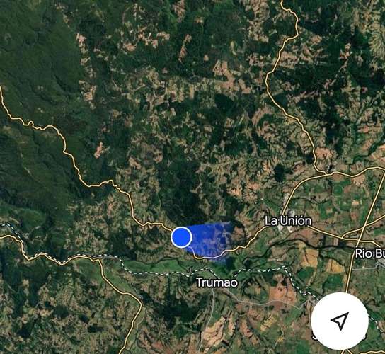 CAMPO DE 4 HECTÁREAS CON EUCALIPTOS  EN LA UNIÓN - Imagen 20