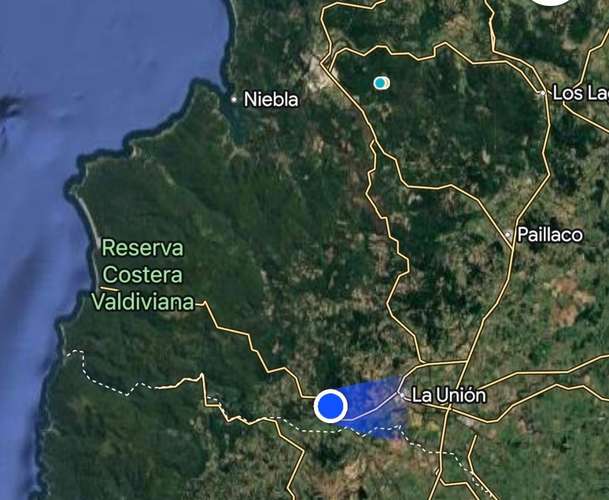 CAMPO DE 4 HECTÁREAS CON EUCALIPTOS  EN LA UNIÓN - Imagen 21