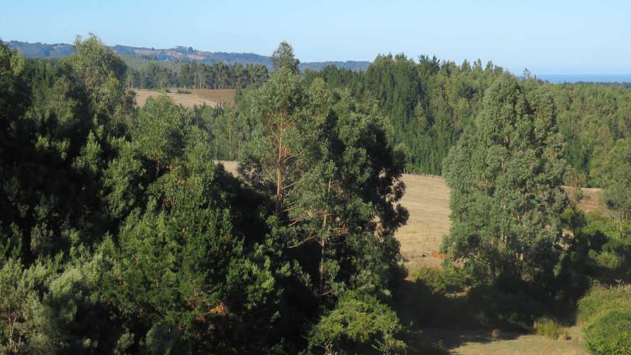 Pullay, Cobquecura (187039) - Imagen 13