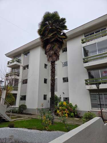 Gran departamento en arriendo centro de Talca (175723) - Imagen 1