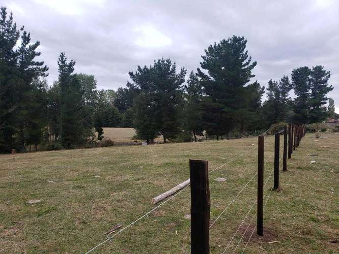 Amplio Terreno con Excelente Conectividad  (187049) - Imagen 4