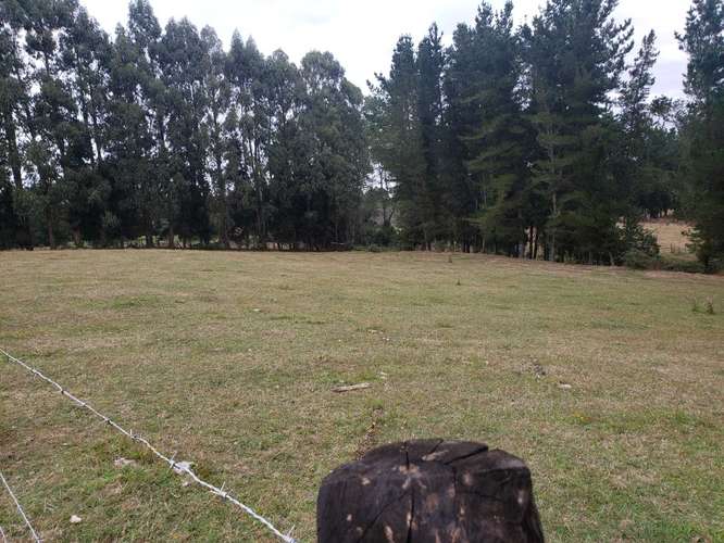 Amplio Terreno con Excelente Conectividad  (187049) - Imagen 5