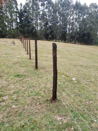 Amplio Terreno con Excelente Conectividad  (187049) - Imagen 1