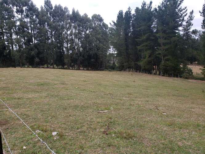 Amplio Terreno con Excelente Conectividad  (187049) - Imagen 6