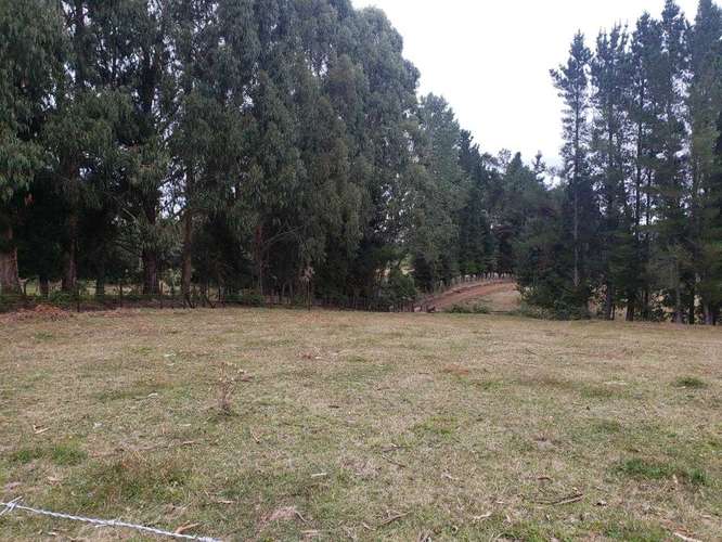 Amplio Terreno con Excelente Conectividad  (187049) - Imagen 2