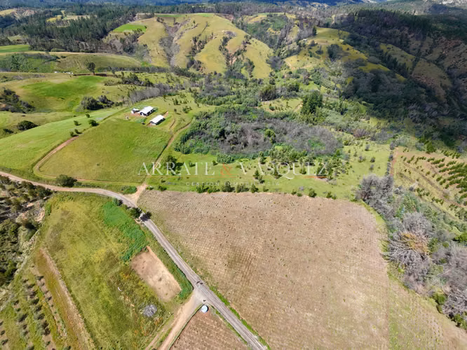 Venta Campo Agrícola y Vitivinícola de 8,5 Ha – Trehuaco - Minas de Leuque