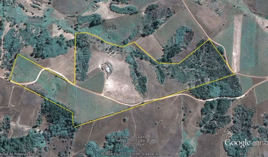 Venta Campo Agrícola y Vitivinícola de 8,5 Ha – Trehuaco - Minas de Leuque