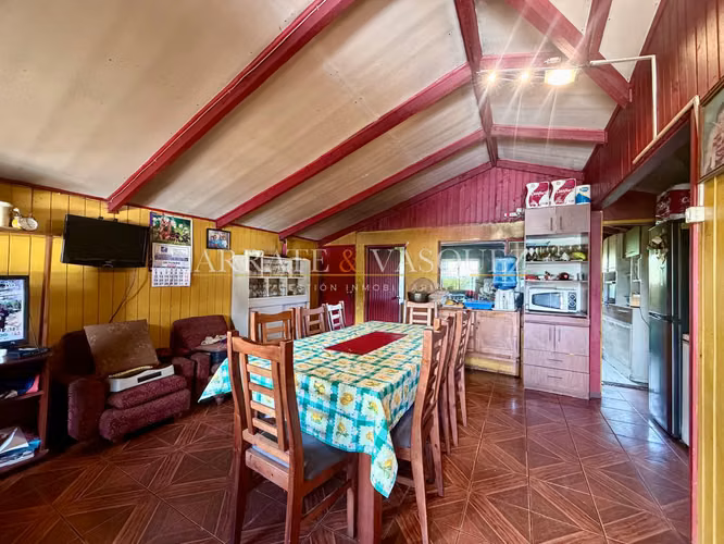 Venta Campo Agrícola y Vitivinícola de 8,5 Ha – Trehuaco - Minas de Leuque