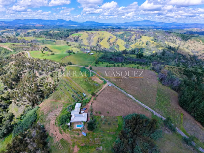 Venta Campo Agrícola y Vitivinícola de 8,5 Ha – Trehuaco - Minas de Leuque