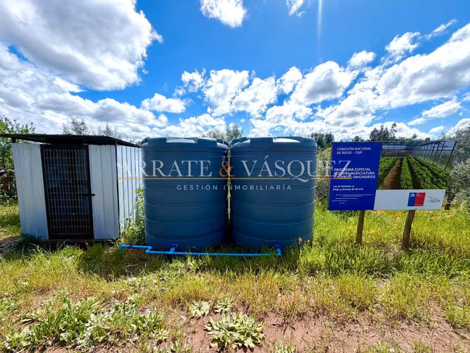 Venta Campo Agrícola y Vitivinícola de 8,5 Ha – Trehuaco - Minas de Leuque