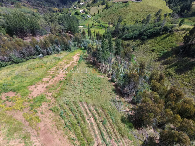 Venta Campo Agrícola y Vitivinícola de 8,5 Ha – Trehuaco - Minas de Leuque