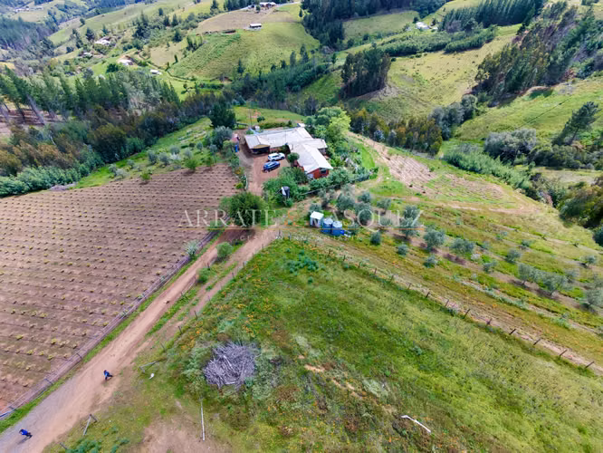 Venta Campo Agrícola y Vitivinícola de 8,5 Ha – Trehuaco - Minas de Leuque