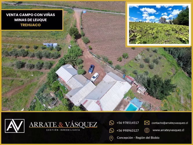 Venta Campo Agrícola y Vitivinícola de 8,5 Ha – Trehuaco - Minas de Leuque