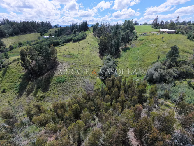 Venta Campo Agrícola y Vitivinícola de 8,5 Ha – Trehuaco - Minas de Leuque