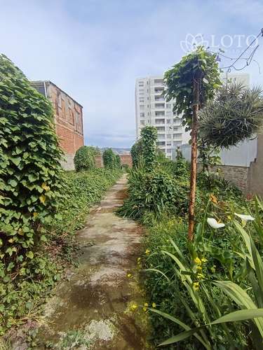Venta de casa céntrica 4 dormitorios. Excelente sector de Placeres - Imagen 20