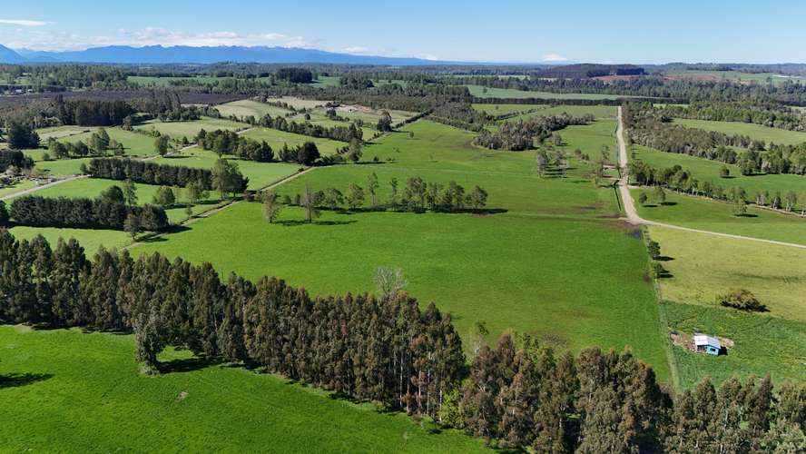 Vendo hermoso campo sector el LLolly - Futrono (187088)