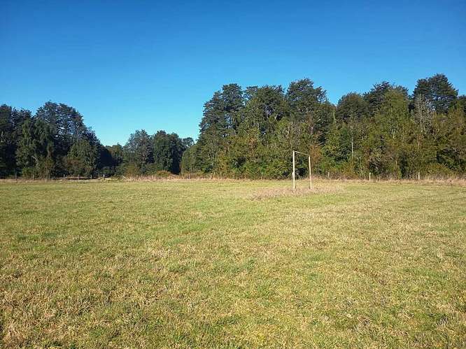 Parcela en venta en Parcelas Frutillar (187060) - Imagen 15