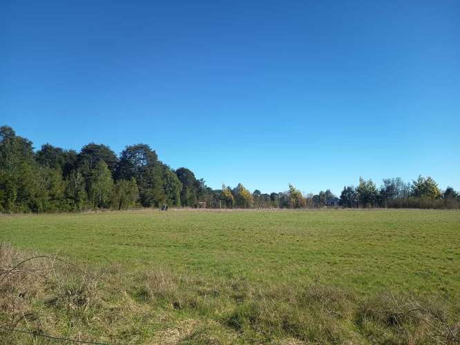 Parcela en venta en Parcelas Frutillar (187060) - Imagen 22