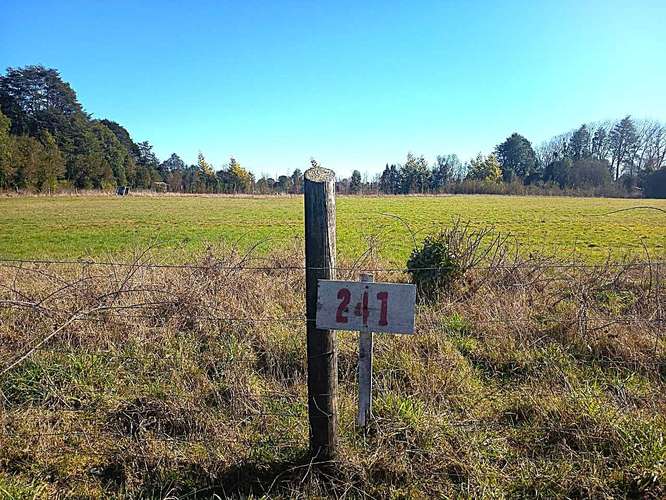 Parcela en venta en Parcelas Frutillar (187060)