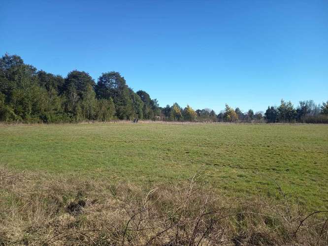 Parcela en venta en Parcelas Frutillar (187060) - Imagen 43