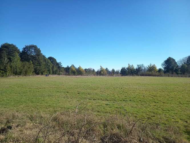 Parcela en venta en Parcelas Frutillar (187060) - Imagen 37