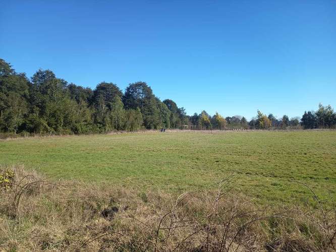 Parcela en venta en Parcelas Frutillar (187060) - Imagen 39