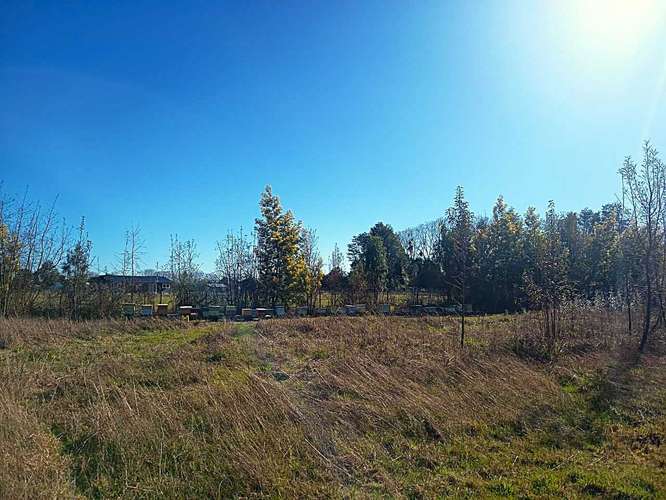 Parcela en venta en Parcelas Frutillar (187060) - Imagen 34